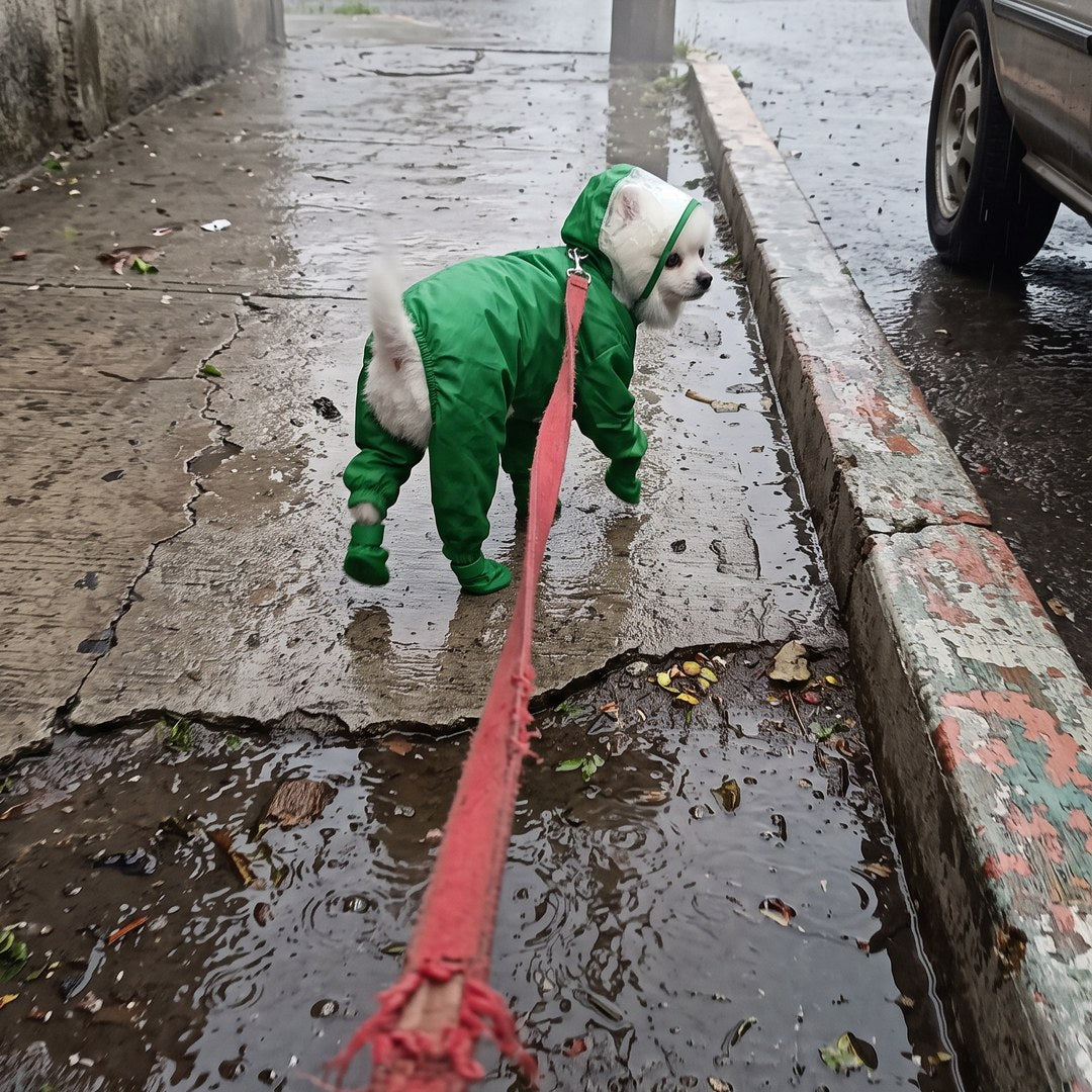 Paseo con lluvia